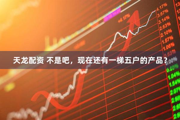 天龙配资 不是吧，现在还有一梯五户的产品？