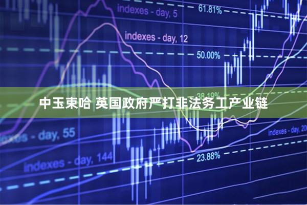 中玉束哈 英国政府严打非法务工产业链