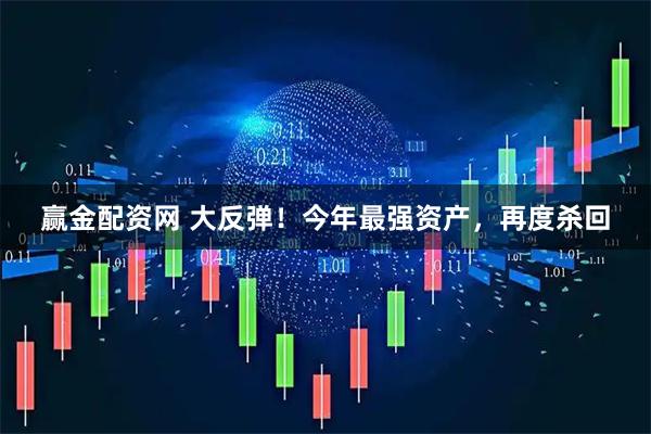 赢金配资网 大反弹！今年最强资产，再度杀回