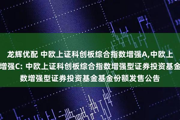 龙辉优配 中欧上证科创板综合指数增强A,中欧上证科创板综合指数增强C: 中欧上证科创板综合指数增强型证券投资基金基金份额发售公告