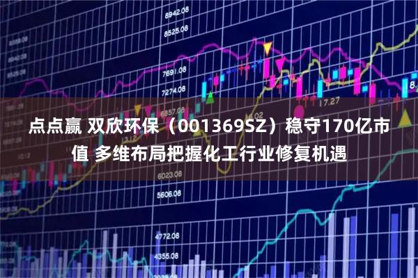点点赢 双欣环保（001369SZ）稳守170亿市值 多维布局把握化工行业修复机遇