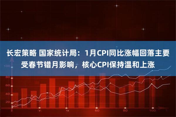 长宏策略 国家统计局：1月CPI同比涨幅回落主要受春节错月影响，核心CPI保持温和上涨