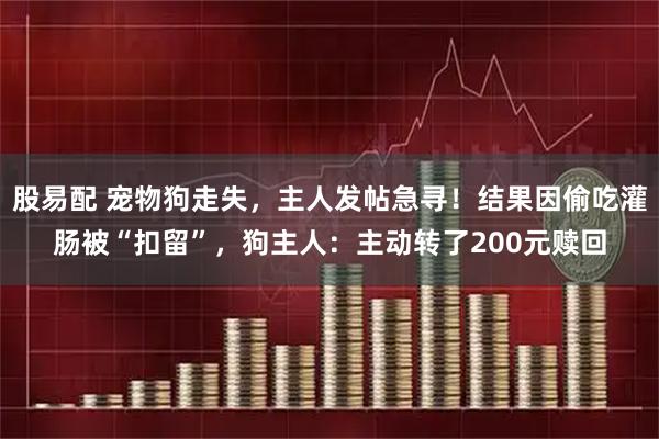 股易配 宠物狗走失，主人发帖急寻！结果因偷吃灌肠被“扣留”，狗主人：主动转了200元赎回