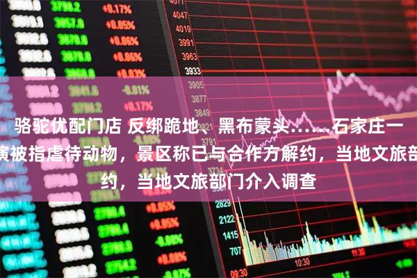 骆驼优配门店 反绑跪地、黑布蒙头……石家庄一景区猴戏表演被指虐待动物，景区称已与合作方解约，当地文旅部门介入调查