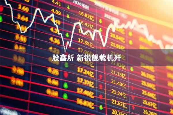 股鑫所 新锐舰载机歼